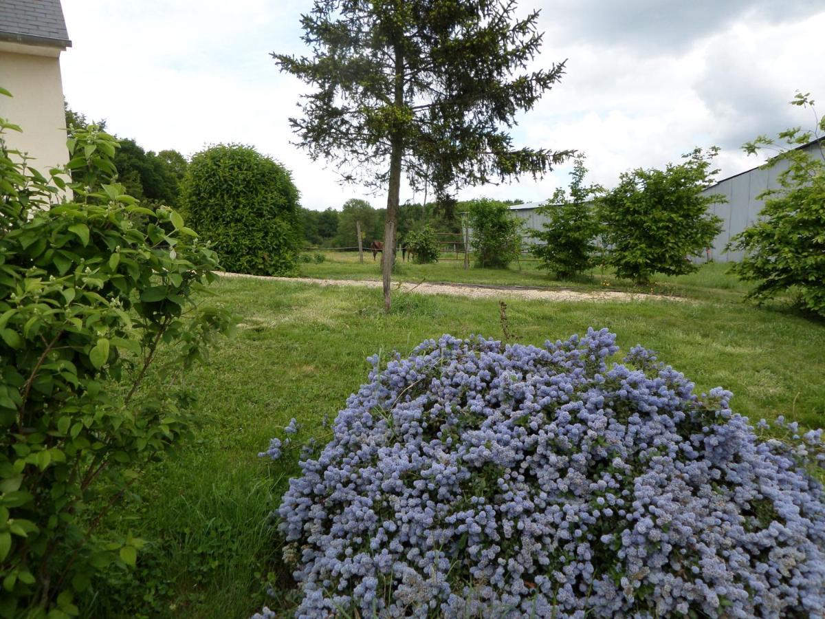 Bienvenue A L'Andruere Bed and Breakfast Cheillé Exteriör bild